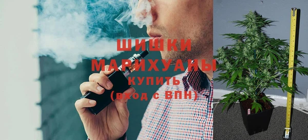ПСИЛОЦИБИНОВЫЕ ГРИБЫ Лагань