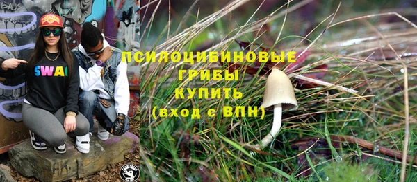 спайс Баксан