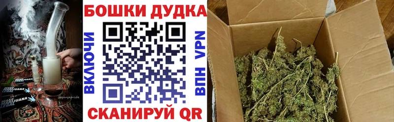 Шишки марихуана Amnesia  Валдай 